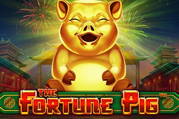 Fortune Pig