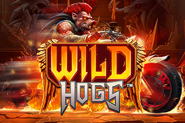 Wild Hogs