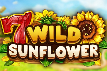 Wild SunFlower
