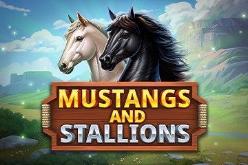 Mustangs and Stallions